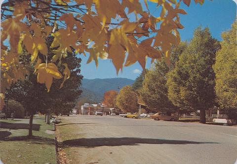 Gavan Street, Bright Gavan Street, Bright