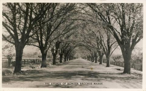 The Avenue of Honour, Bacchus Marsh