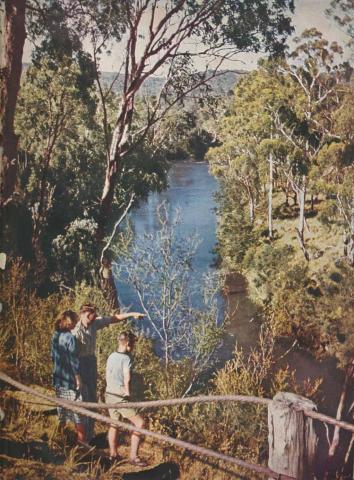 Yarra River, Warrandyte, 1954