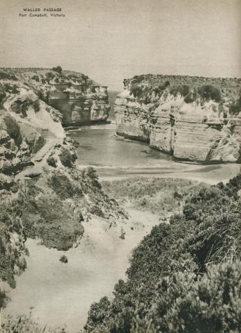 Walled passage, Port Campbell, 1954