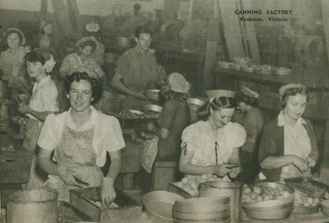 Canning factory, Kyabram, 1954