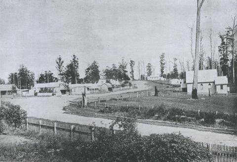 Poowong township, c1895