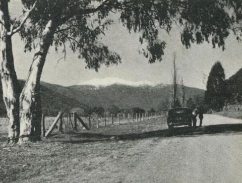 Harrietville Road, showing Mount Hotham, 1960