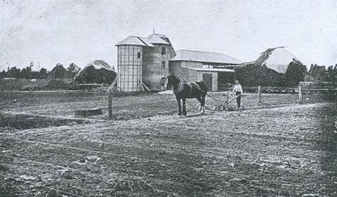 Ploughing, Ballarat Agricultural High School, 1916