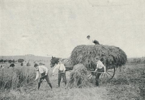 Warragul High School Farm, 1961