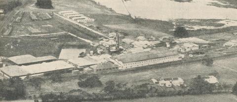 Abattoirs and Meat Exporting Works, Portland, 1960