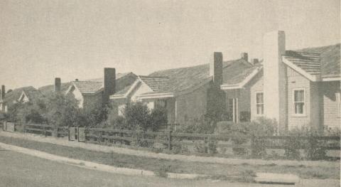 Housing Commission Estate, Hamilton, 1960