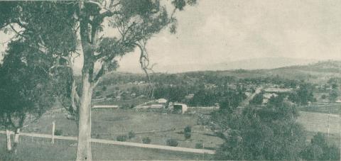 View of Alexandra, looking across the Show and Recreation Grounds