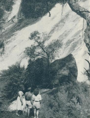 Mount Buffalo National Park, 1951