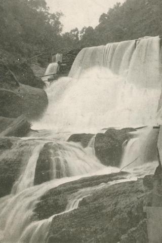 Falls on Stringer Creek, Walhalla, c1910