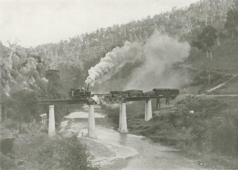 Train crossing the Thomson River, Walhalla, c1910