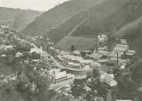 Junction of Right and Left-hand Branches, Walhalla, c1910