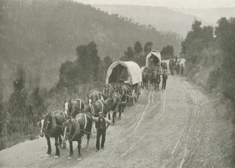 Teamsters, Walhalla, c1910