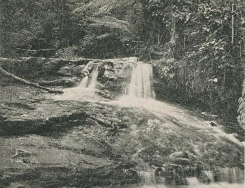Sheoak Creek, Lorne, 1910