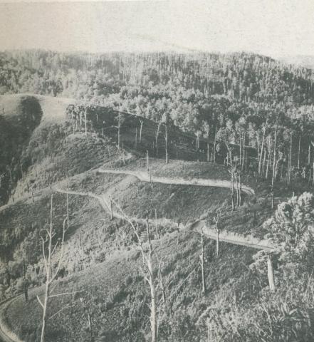 Grand Ridge Road, near Traralgon, c1952