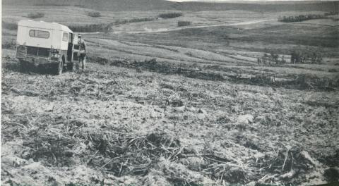 Land clearing for development, Heytesbury, 1958