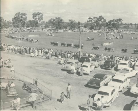 The Agricultural Show, Tatura, 1960