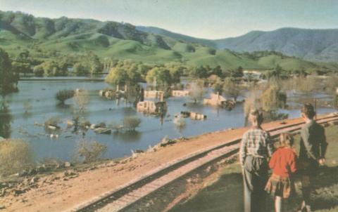 The flooded township of old Tallangatta, 1960