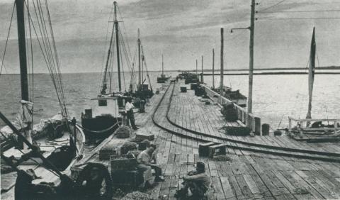 Part of the fishing fleet, Port Welshpool, 1955