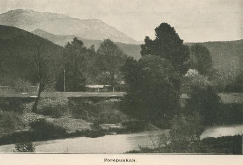 Porepunkah, 1919