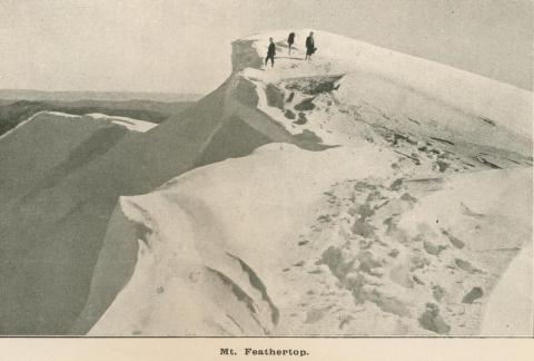 Mount Feathertop, Harrietville, 1919