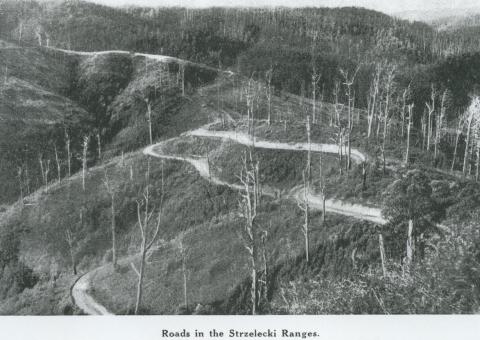 Roads in Strzelecki Ranges, 1946