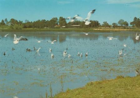 Lake Guthridge, Sale