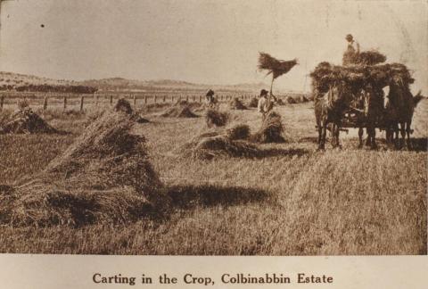 Carting in the crop, Colbinabbin Estate, 1911