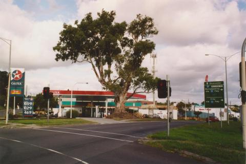 Historic red gum, corner of Manningham Road and Bridge Street, Bulleen, 2005