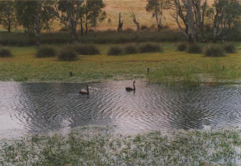 Glenelg River, Casterton, 2008