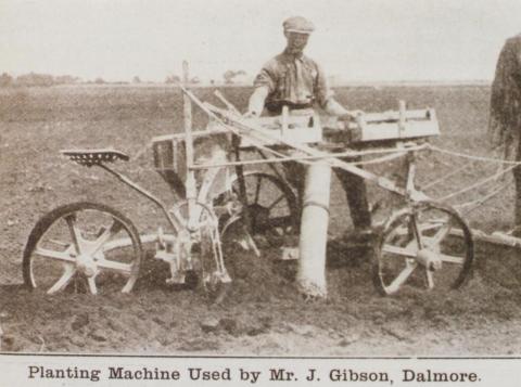Planting machine used by Mr J Gibson, Dalmore, 1919