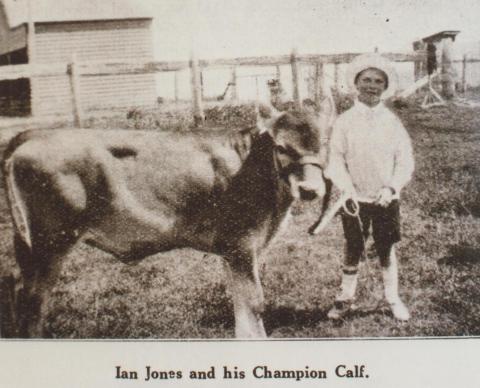 Ian Jones and his champion calf, Dollar, South Gippsland, Woorayl shire, 1928