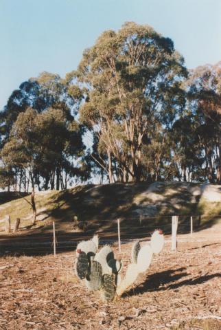 Near mine site, Betley, 2010