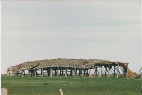 Thatched farm shed, Dimboola, 1980