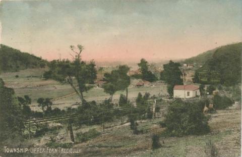 Township, Upper Ferntree Gully, 1907