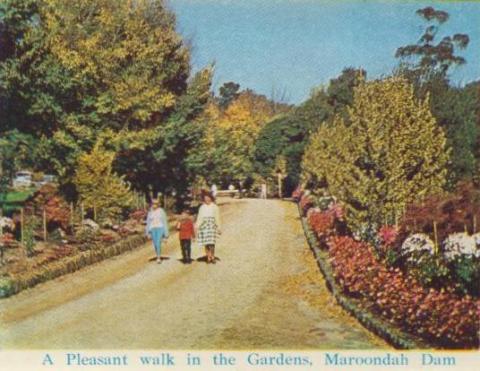 A pleasant walk in the Gardens, Maroondah Dam, Healesville