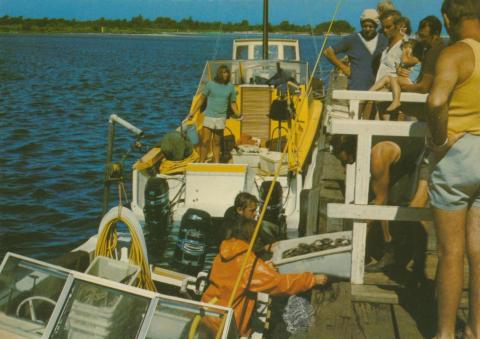 On the Mallacoota wharf as the abalone catch is unloaded