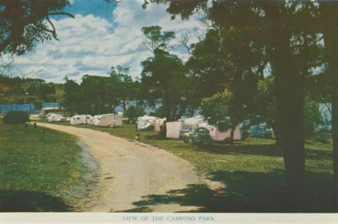 View of the camping park, Mallacoota