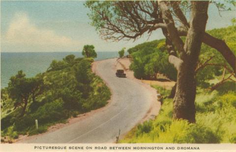 Picturesque scene on the road between Mornington and Dromana, 1951