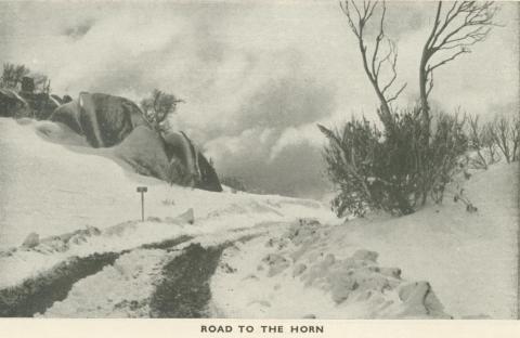 Road to the Horn, Mount Buffalo, 1953