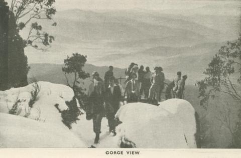 Gorge View, Mount Buffalo, 1953