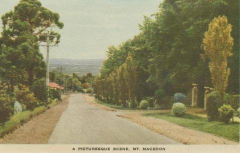 A picturesque scene, Mount Macedon, 1955