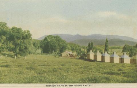 Tobacco Kilns in the Ovens Valley, 1953