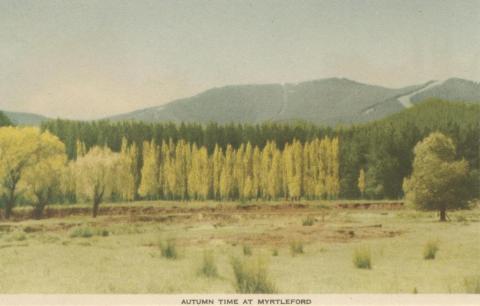 Autumn Time at Myrtleford, 1953