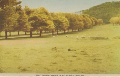 Golf Course Avenue and Recreation Reserve, Myrtleford, 1953