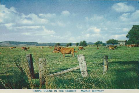 Rural scene in the Orbost - Marlo District