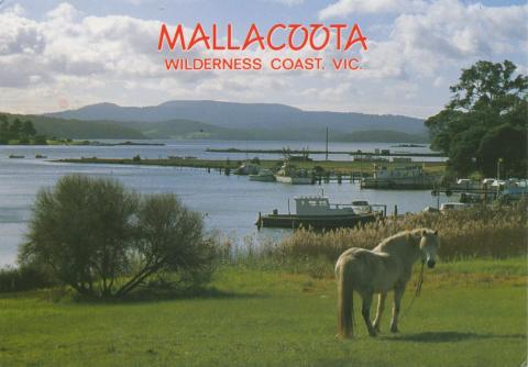 Looking North beyond tranquil Coull's Inlet to Mallacoota Inlet, 1993
