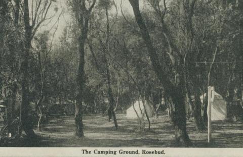The Camping Ground, Rosebud, 1942