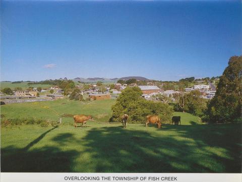 Overlooking the Township of Fish Creek