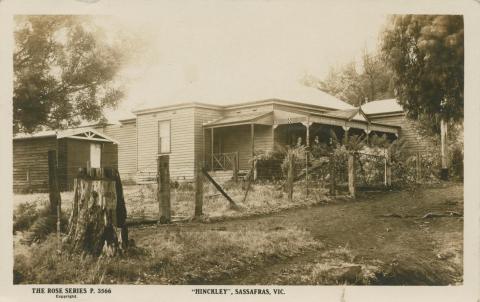 Hinckley, Sassafras